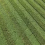 StripCroppingField 3 90x90